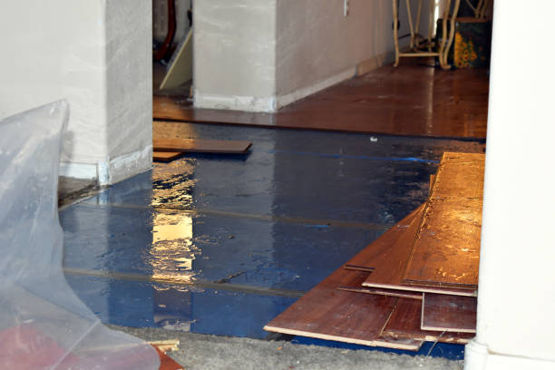 Professional Basement Flood Cleanup technician working in Surry, ME